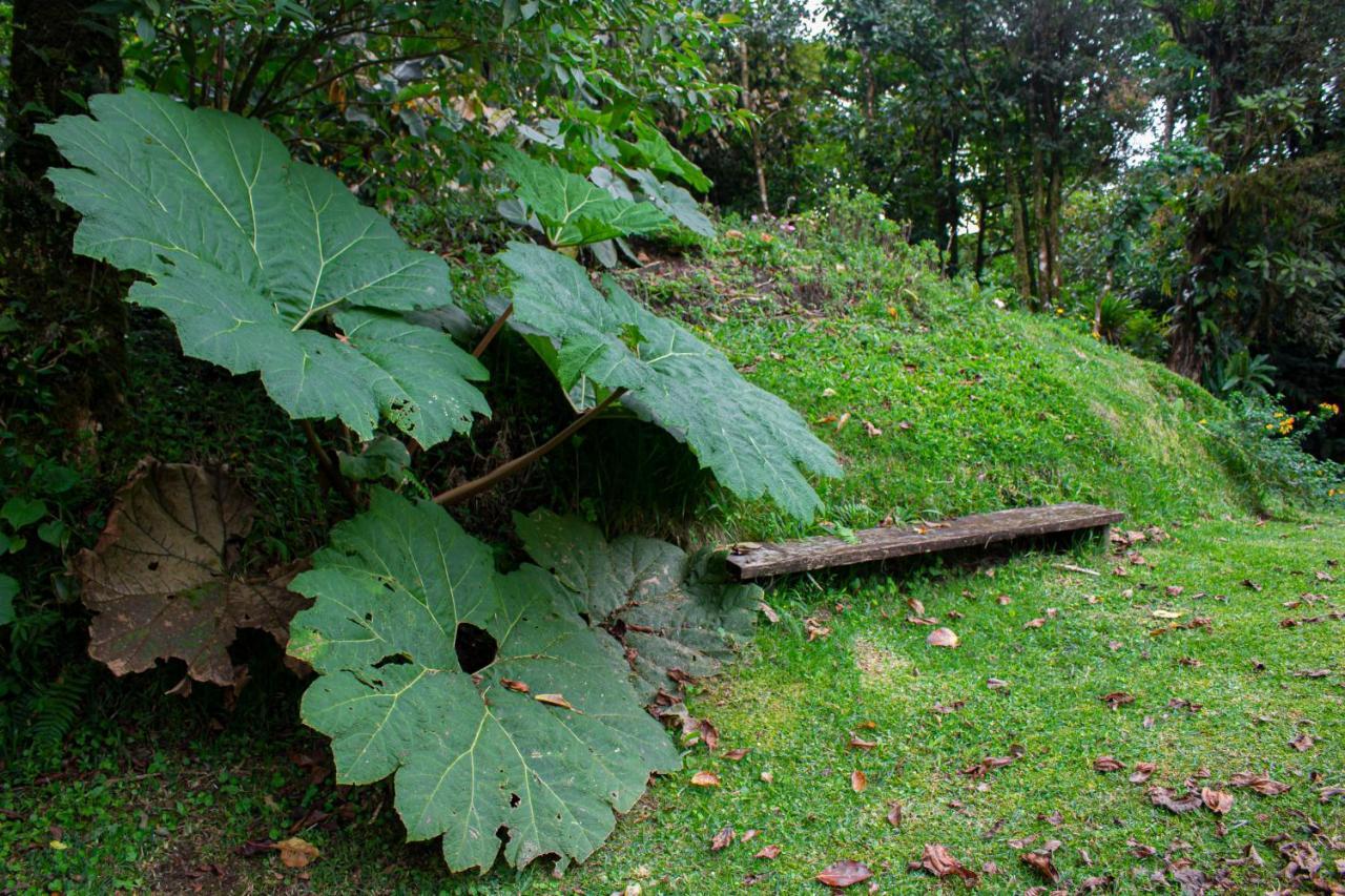 Burbi Lake Lodge Monteverde Buitenkant foto