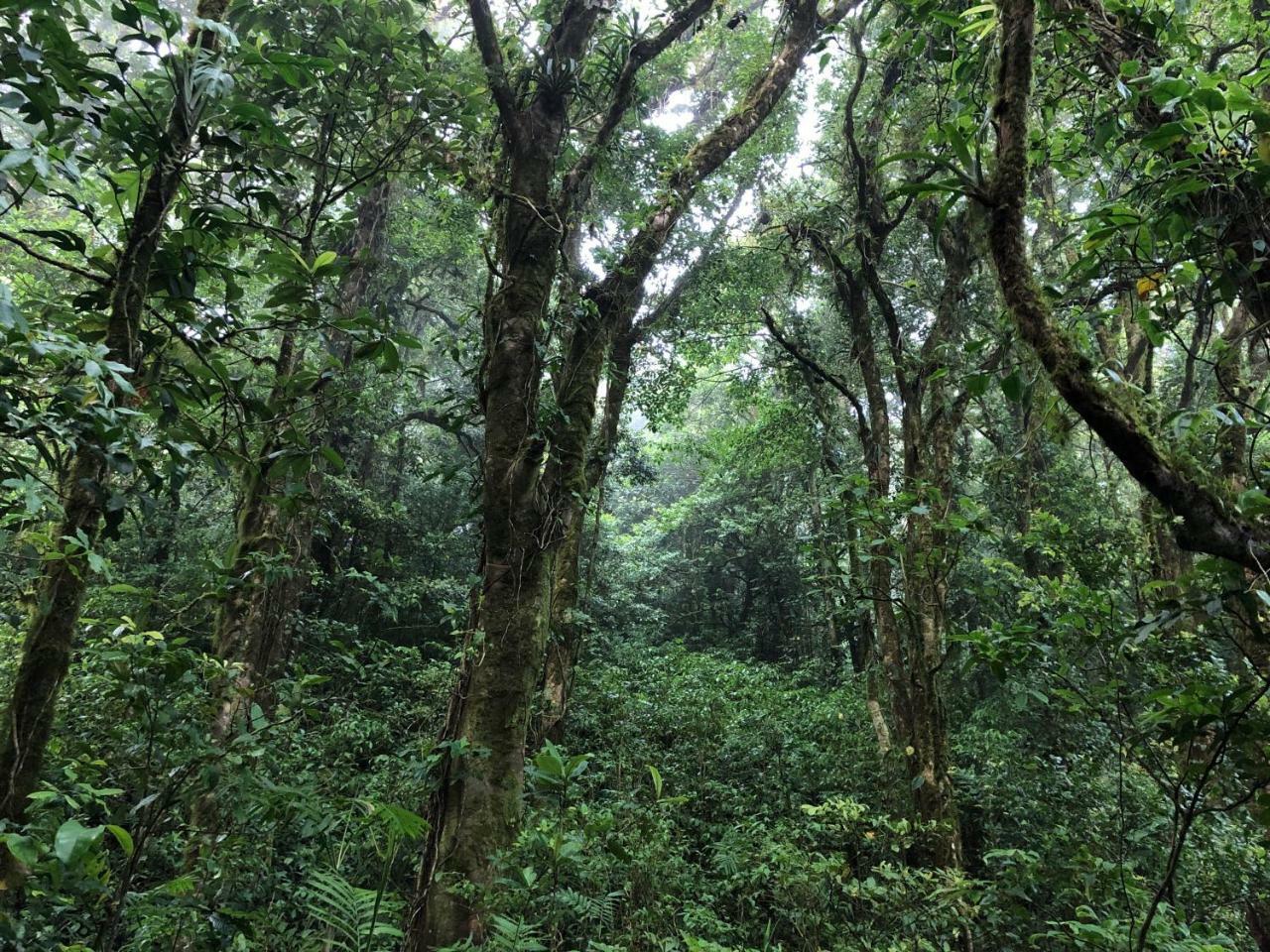 Burbi Lake Lodge Monteverde Buitenkant foto